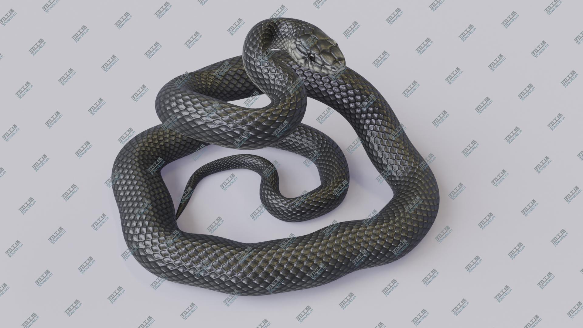 images/goods_img/20210113/3D model Animated Black Mamba/4.jpg